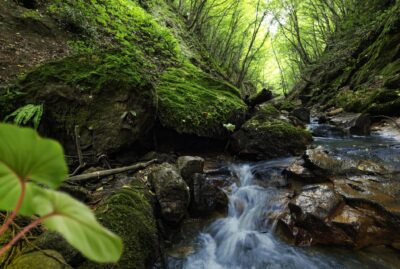 Nüzhetiye Waterfall