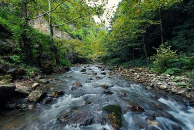Nüzhetiye Waterfall