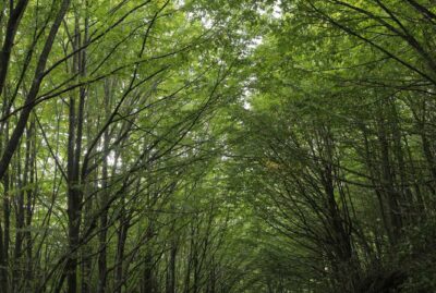 Beşkayalar Nature Park
