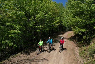 Mountain Bike Trails