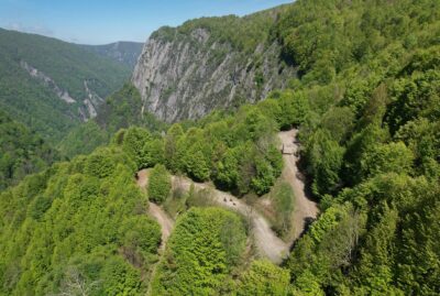 Mountain Bike Trails