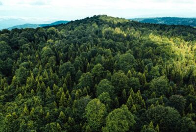 Ayrı Gezegen Glass Terrace
