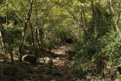 Çınarlıdere Recreation Area