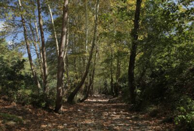 Çınarlıdere Recreation Area