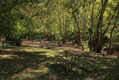 Çınarlıdere Recreation Area