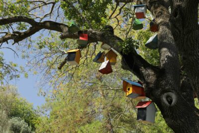 Darica Beach Martyr Soldier Gökhan Hüseyinoğlu Park