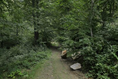 Nature Tourism Trails