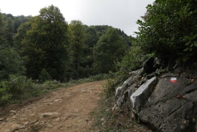 Mountain Bike Trails