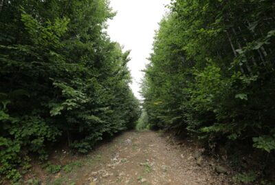 Nature Tourism Trails