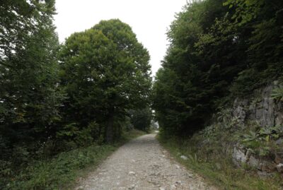 Mountain Bike Trails