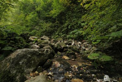 Nature Tourism Trails