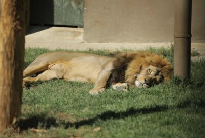 Faruk Yalçın Zoo and Botanical Park
