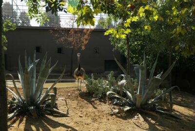 Faruk Yalçın Zoo and Botanical Park