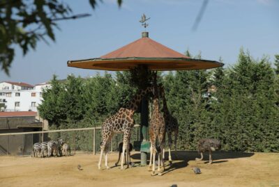 Faruk Yalçın Zoo and Botanical Park