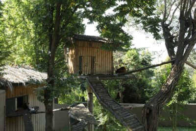 Faruk Yalçın Zoo and Botanical Park