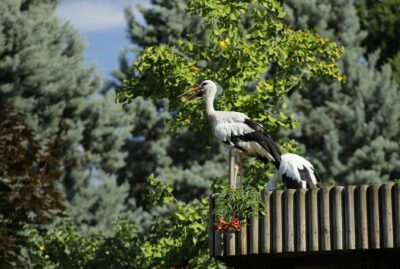 Faruk Yalçın Zoo and Botanical Park