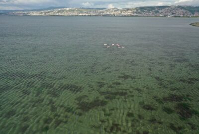 İzmit Wetland