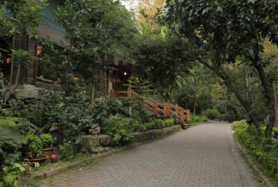 Breakfast Places and Trout Facilities