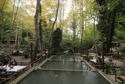 Breakfast Places and Trout Facilities