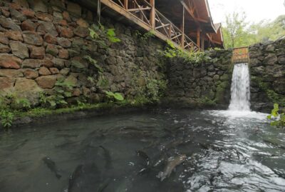 Breakfast Places and Trout Facilities