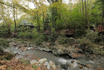 Breakfast Places and Trout Facilities