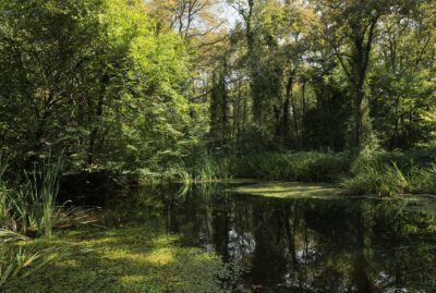 Ormanya Wildlife Park