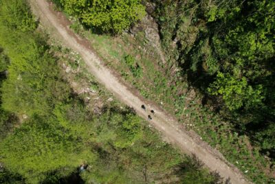 Nature Tourism Trails