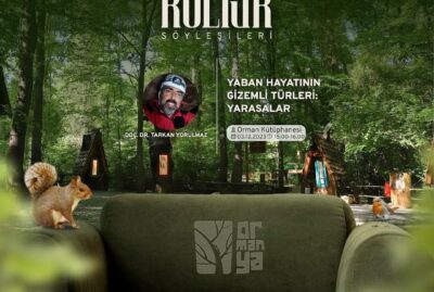 Green Seat Interviews